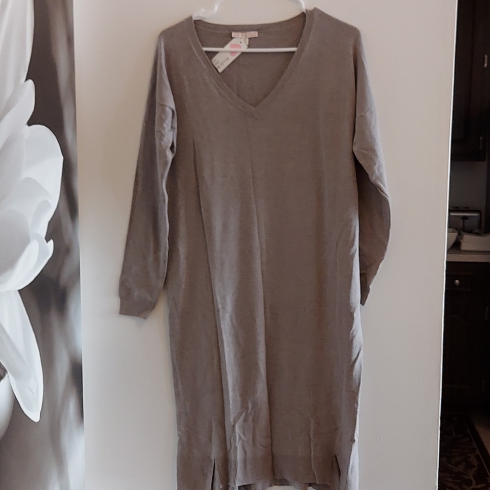 Sweater Dress or Lounger